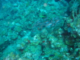 IMG_1033.JPG