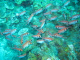 IMG_1034.JPG
