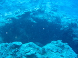IMG_1036.JPG