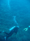 IMG_1037.JPG