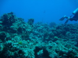 IMG_1039.JPG
