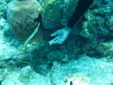 IMG_0756.JPG