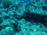 IMG_1041.JPG