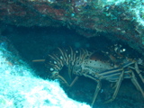IMG_1042.JPG