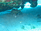 IMG_1043.JPG
