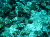IMG_1046.JPG