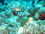 IMG_1047.JPG