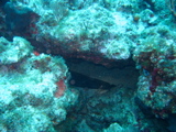 IMG_1048.JPG
