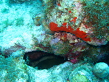 IMG_1049.JPG