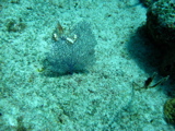 IMG_0757.JPG