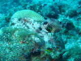 IMG_1051.JPG