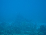 IMG_1054.JPG