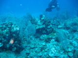 IMG_1080.JPG