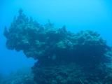 IMG_1084.JPG