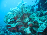 IMG_1085.JPG
