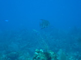 IMG_1086.JPG