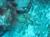 IMG_1088.JPG