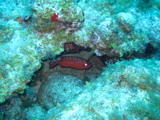 IMG_1092.JPG
