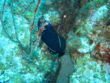 IMG_1093.JPG