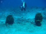 IMG_1094.JPG