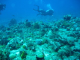 IMG_1095.JPG