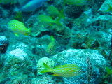 IMG_1096.JPG