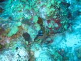 IMG_1120.JPG