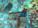 IMG_1121.JPG