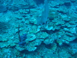 IMG_1123.JPG