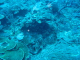 IMG_1124.JPG