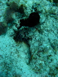 IMG_0760.JPG
