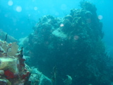 IMG_1130.JPG