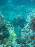 IMG_1134.JPG