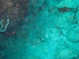 IMG_1138.JPG