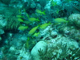 IMG_0761.JPG