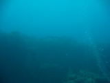 IMG_1141.JPG