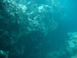 IMG_1146.JPG