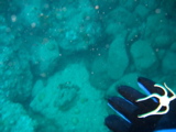 IMG_1148.JPG