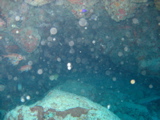 IMG_1151.JPG