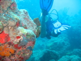 IMG_1152.JPG