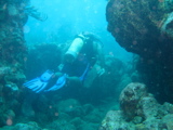 IMG_1153.JPG