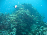 IMG_1154.JPG