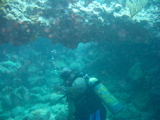 IMG_1155.JPG