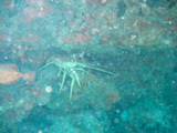 IMG_1156.JPG