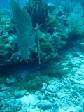 IMG_0763.JPG