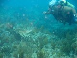 IMG_1160.JPG