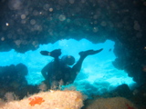 IMG_1162.JPG