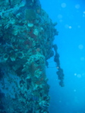 IMG_1313.JPG