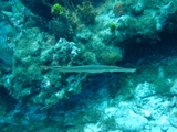 IMG_0764.JPG