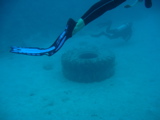 IMG_1321.JPG